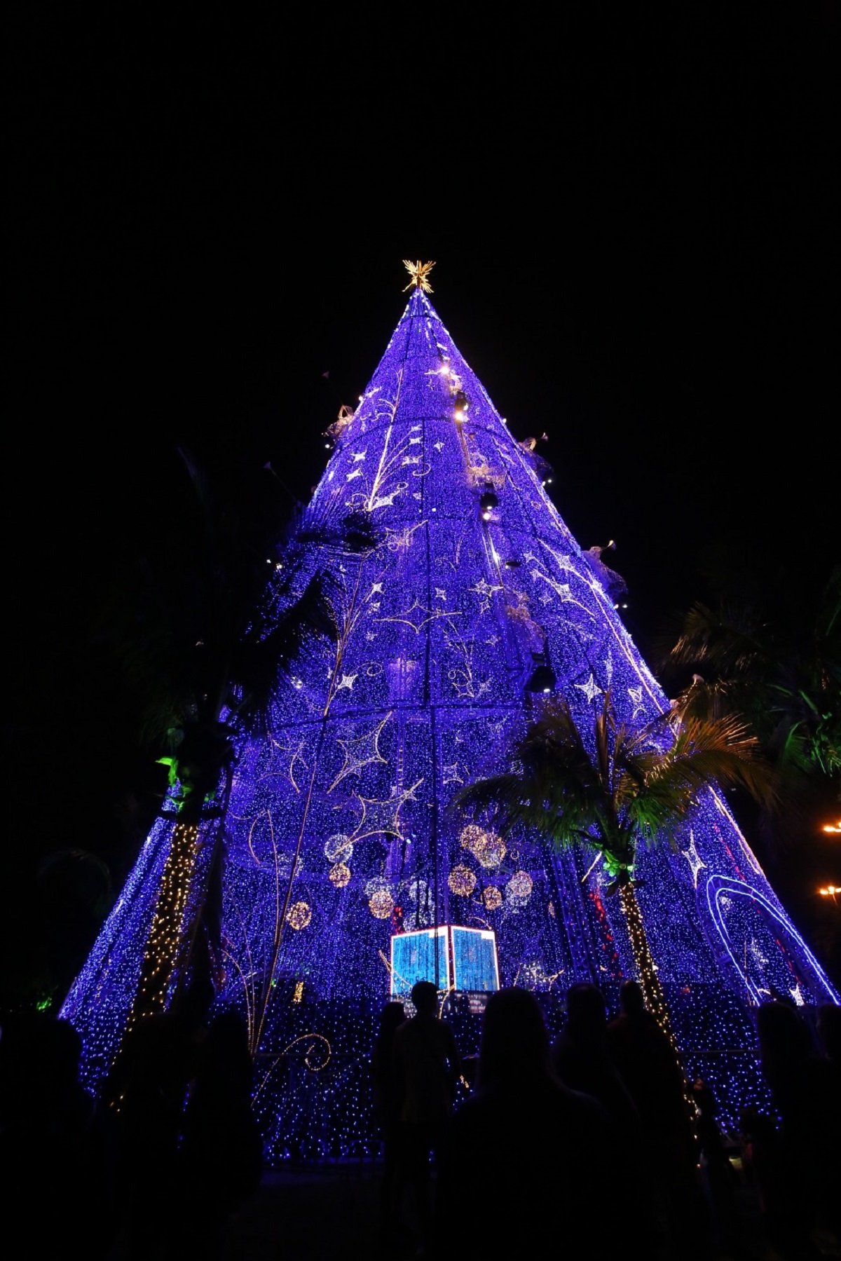 Árvore de Natal Gigante em Niterói já está iluminada e pode ser vista por  quem passa pela Baía de Guanabara – Prefeitura Municipal de Niterói